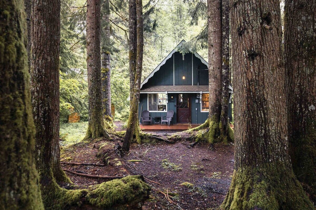The Best Airbnbs Near 57 US National Parks, From Yellowstone to Acadia