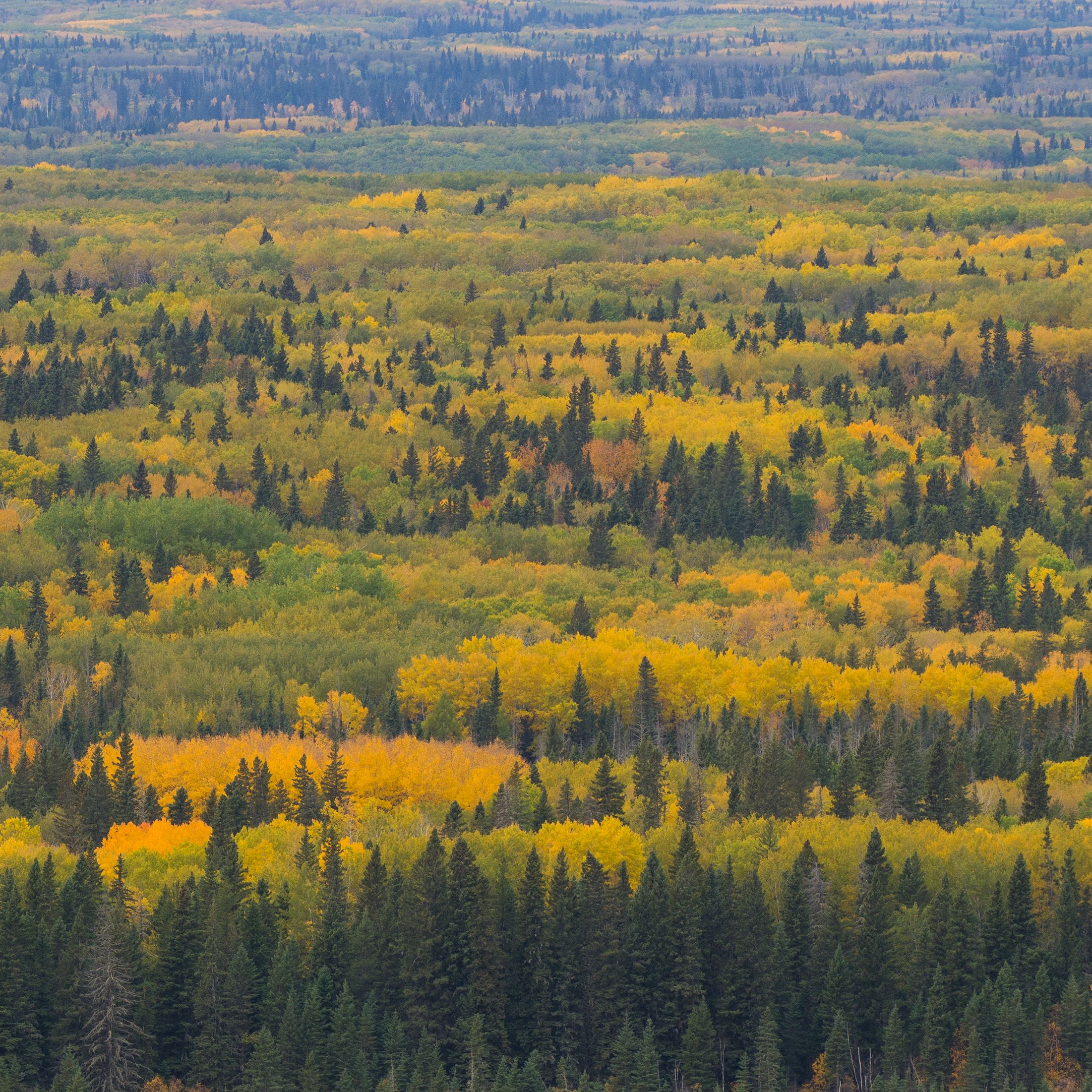 What Travelers Need to Know About the Wildfires in Canada