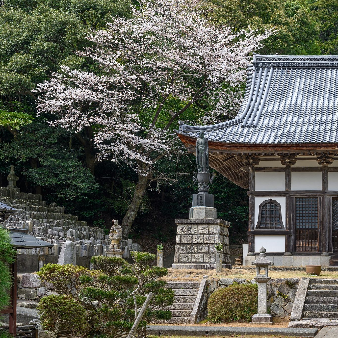 On Japan’s Rural Coast, One Sleepy Town’s Locals Are Vying For the Megacities’ Travelers
